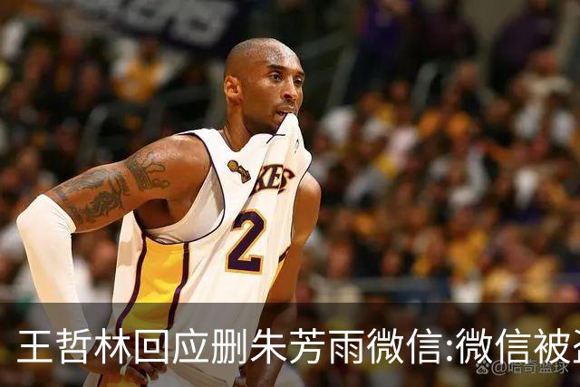 王哲林回应删朱芳雨微信:微信被盗号删了几百个好友 连我妈都被删了